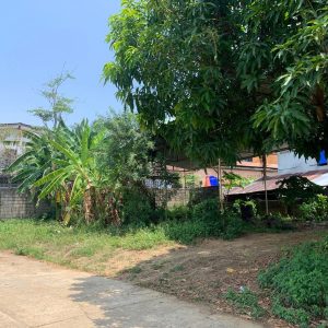 出售地皮-泰国-达-312-平方米-98.92-01