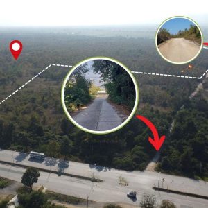 出售地皮-泰国-达-480928-平方米-11.8-01