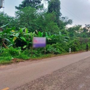 出售地皮-泰国-那空帕农-13308-平方米-3.32-01