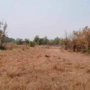 出售地皮-泰国-那空沙旺-12372-平方米-0-01