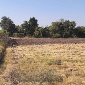 出售地皮-泰国-那空沙旺-25600-平方米-0.43-01