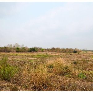 出售地皮-泰国-那空沙旺-31761.2-平方米-120.8-01