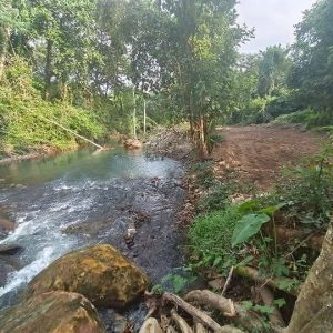 出售地皮-泰国-那空那育-107504-平方米-12.29-01