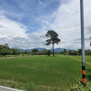 出售地皮-泰国-那空那育-1600-平方米-20.38-01