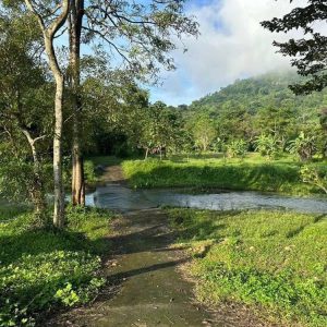 出售地皮-泰国-那空那育-19712-平方米-75-01