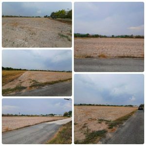 出售地皮-泰国-那空那育-22800-平方米-33.09-01