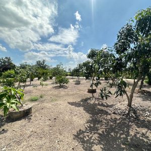 出售地皮-泰国-那空那育-2400-平方米-38.58-01