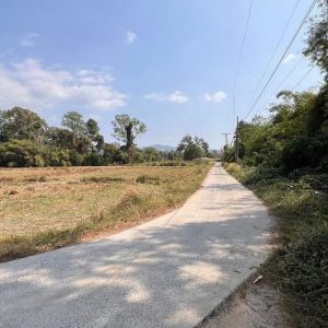 出售地皮-泰国-那空那育-26508-平方米-54.4-01