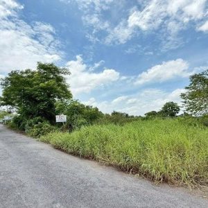 出售地皮-泰国-那空那育-37636-平方米-25.52-01