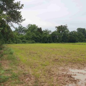 出售地皮-泰国-那空那育-42840-平方米-31.23-01