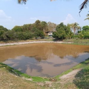 出售地皮-泰国-那空那育-4788-平方米-0-01