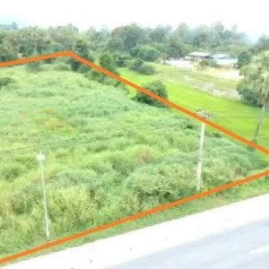 出售地皮-泰国-那空那育-4800-平方米-32.15-01