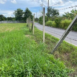 出售地皮-泰国-那空那育-5200-平方米-35.63-01