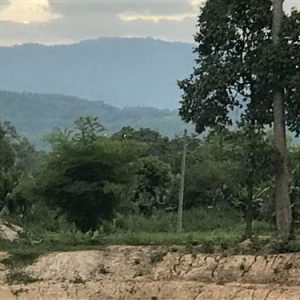 出售地皮-泰国-那空那育-6400-平方米-29.49-01