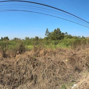 出售地皮-泰国-那空那育-6400-平方米-75-01