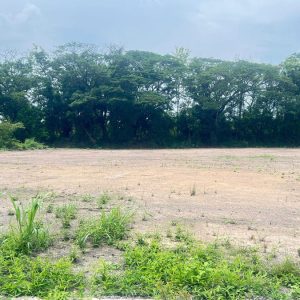 出售地皮-泰国-那空那育-6568-平方米-32.15-01