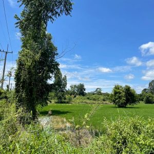 出售地皮-泰国-那空那育-8000-平方米-19.29-01