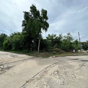 出售地皮-泰国-那空那育-808-平方米-180-01