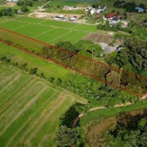 出售地皮-泰国-那空那育-9560-平方米-38.75-01