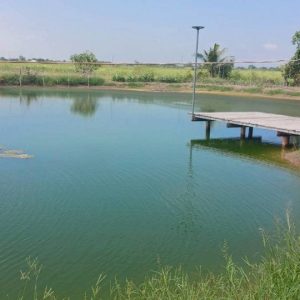 出售地皮-泰国-那空那育-9908-平方米-7.63-01