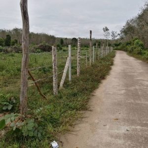 出售地皮-泰国-陶公-19200-平方米-2.52-01