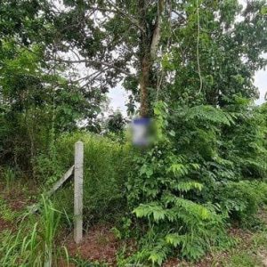 出售地皮-泰国-黎-25500-平方米-2.35-01