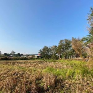 出售地皮-泰国-黎-2552-平方米-40.32-01