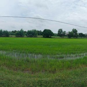 出售地皮-泰国-黎逸-52800-平方米-0-01