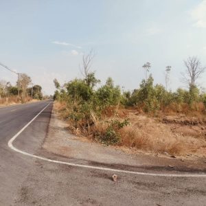 出售地皮-泰国-黎逸-8904-平方米-8.49-01