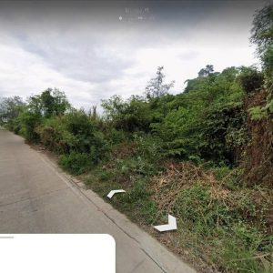 出售地皮-泰国-龙仔厝-1016-平方米-286.86-01