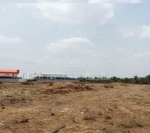 出售地皮-泰国-龙仔厝-10200-平方米-102.86-01