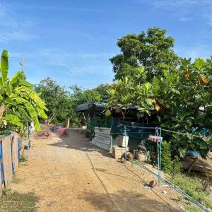 出售地皮-泰国-龙仔厝-11600-平方米-81.43-01