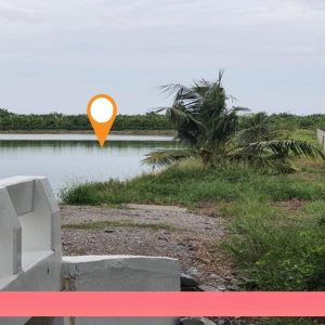 出售地皮-泰国-龙仔厝-18972-平方米-139.18-01