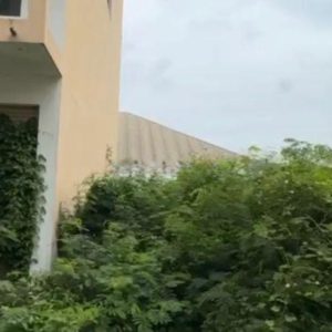 出售地皮-泰国-龙仔厝-2000-平方米-342.86-01