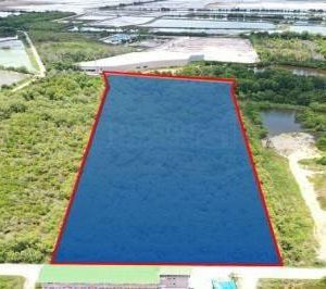 出售地皮-泰国-龙仔厝-20352-平方米-53.58-01