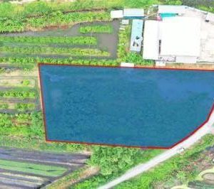 出售地皮-泰国-龙仔厝-2908-平方米-128.58-01