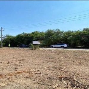 出售地皮-泰国-龙仔厝-2961.6-平方米-111.43-01