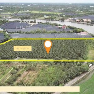 出售地皮-泰国-龙仔厝-31640-平方米-102.63-01