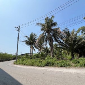 出售地皮-泰国-龙仔厝-41095.2-平方米-24.98-01