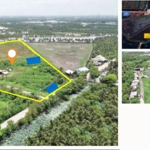 出售地皮-泰国-龙仔厝-43204-平方米-38.58-01