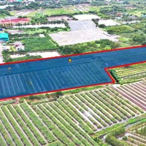 出售地皮-泰国-龙仔厝-49600-平方米-57.86-01