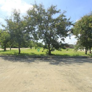 出售地皮-泰国-龙仔厝-521.2-平方米-205.72-01