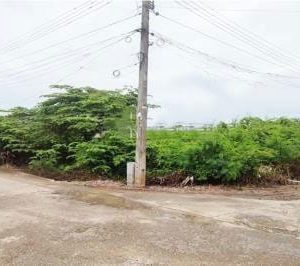 出售地皮-泰国-龙仔厝-5656-平方米-113.58-01