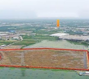 出售地皮-泰国-龙仔厝-61568-平方米-47.15-01