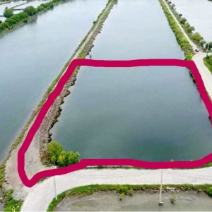 出售地皮-泰国-龙仔厝-6196-平方米-44.29-01