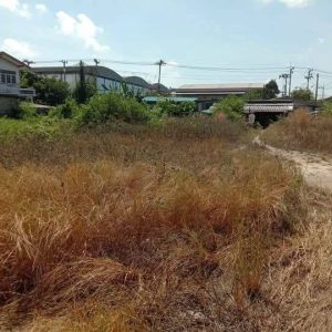 出售地皮-泰国-龙仔厝-6216-平方米-204.86-01