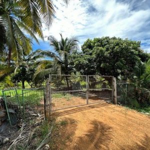 出售地皮-泰国-龙仔厝-9504-平方米-38.98-01